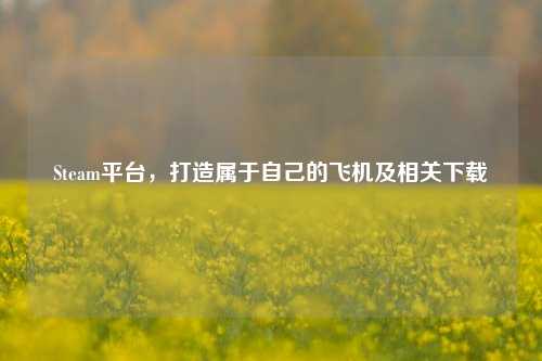 Steam平台,打造属于自己的飞机及相关下载