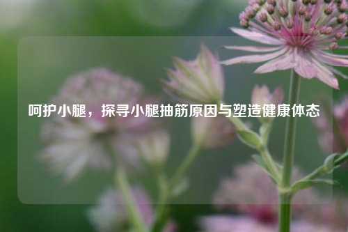 呵护小腿，探寻小腿抽筋原因与塑造健康体态