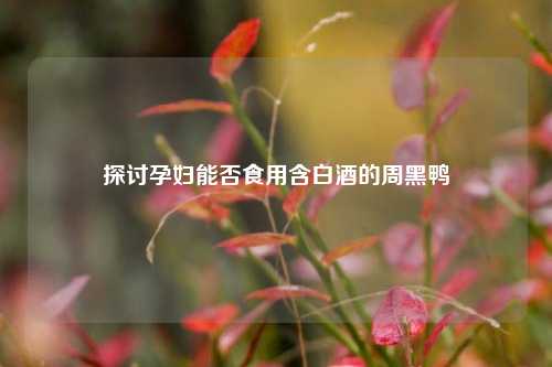 探讨孕妇能否食用含白酒的周黑鸭