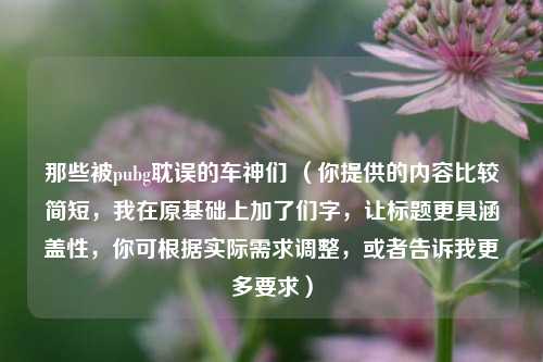那些被pubg耽误的车神们 （你提供的内容比较简短，我在原基础上加了们字，让标题更具涵盖性，你可根据实际需求调整，或者告诉我更多要求）