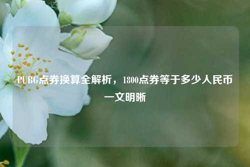 PUBG点券换算全解析,1800点券等于多少人民币一文明晰