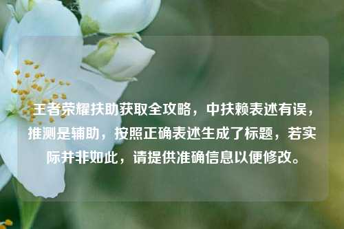 王者荣耀扶助获取全攻略,中扶赖表述有误,推测是辅助,按照正确表述生成了标题,若实际并非如此,请提供准确信息以便修改。