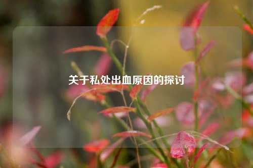 关于私处出血原因的探讨