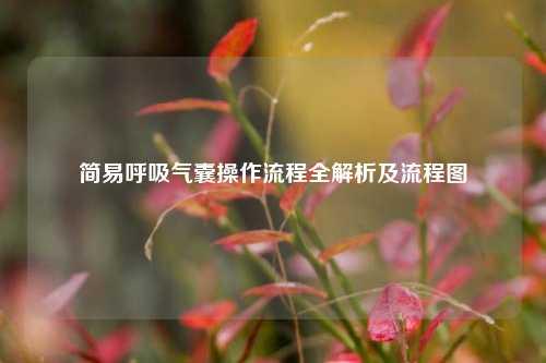 简易呼吸气囊操作流程全解析及流程图