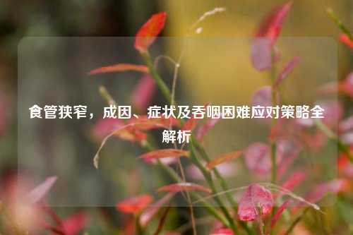食管狭窄,成因、症状及吞咽困难应对策略全解析