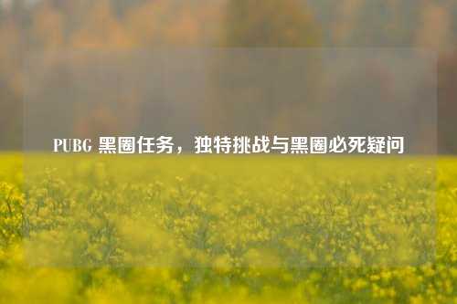 PUBG 黑圈任务,独特挑战与黑圈必死疑问