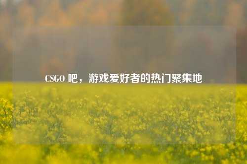CSGO 吧，游戏爱好者的热门聚集地