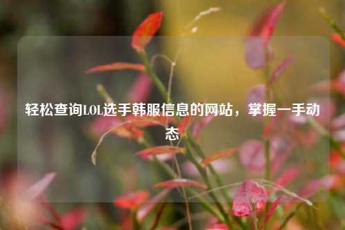 轻松查询LOL选手韩服信息的网站,掌握一手动态