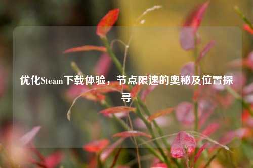 优化Steam下载体验，节点限速的奥秘及位置探寻