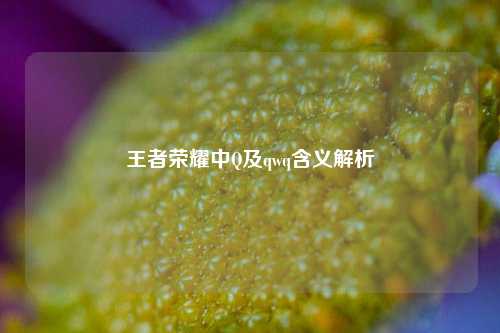 王者荣耀中Q及qwq含义解析