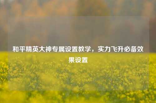 和平精英大神专属设置教学，实力飞升必备效果设置