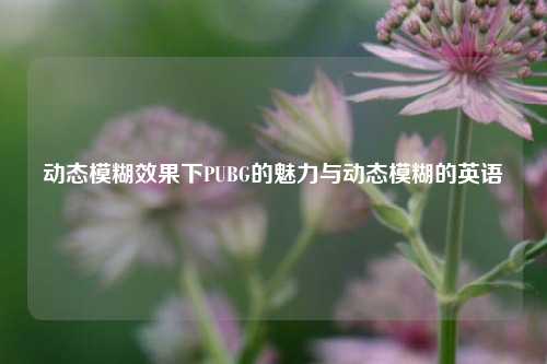 动态模糊效果下PUBG的魅力与动态模糊的英语