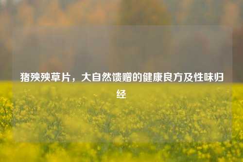 猪殃殃草片,大自然馈赠的健康良方及性味归经